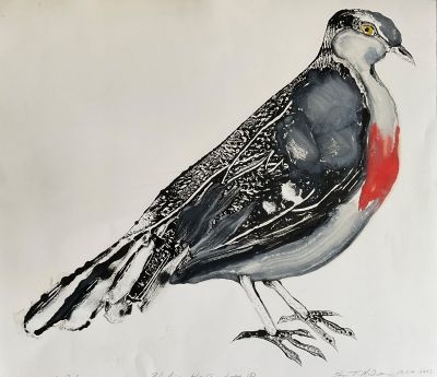 Stuart Mackenzie Artist Talk